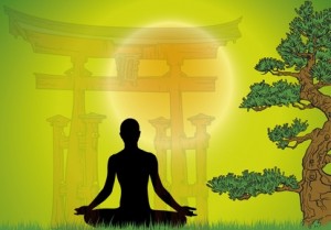 Wellness 4